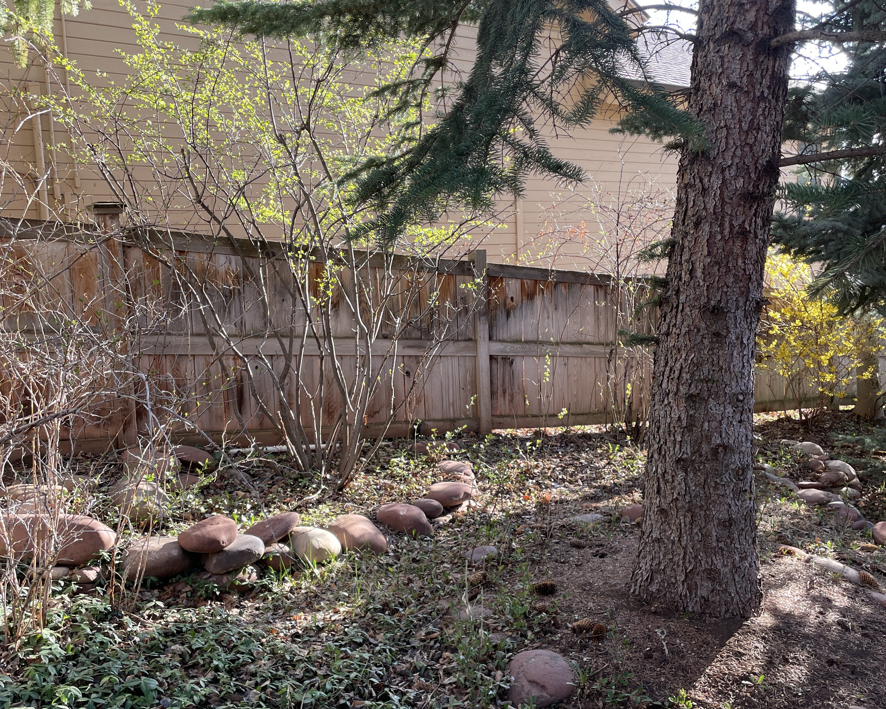 Before: Fence Installation or Replacement